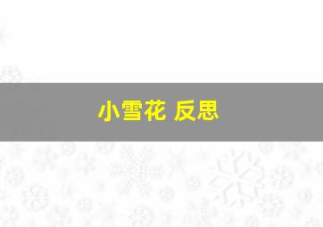 小雪花 反思